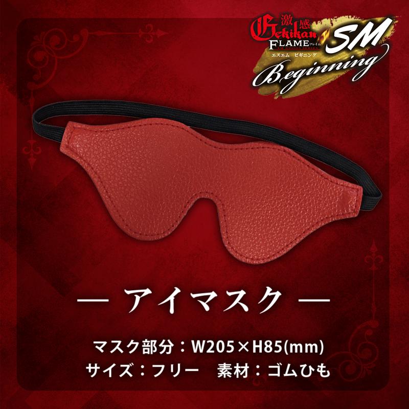 激感フレイム　SMビギニング 画像3